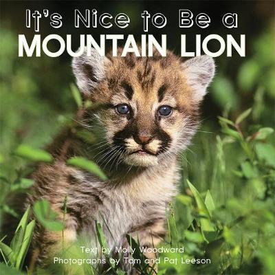 Cover of It's Nice to Be a Mountain Lion