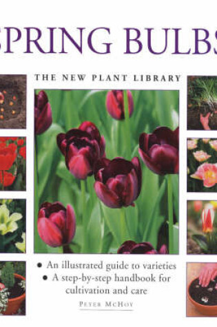 Cover of Spring Bulbs