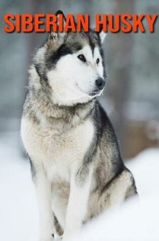 Cover of Siberian Husky