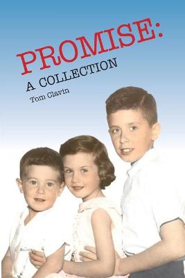 Book cover for Promise