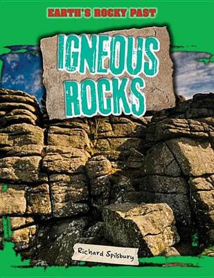 Book cover for Igneous Rocks