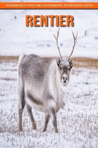 Cover of Rentier