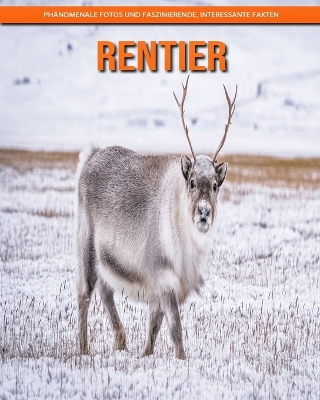 Book cover for Rentier