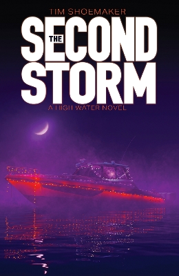 Book cover for The Second Storm