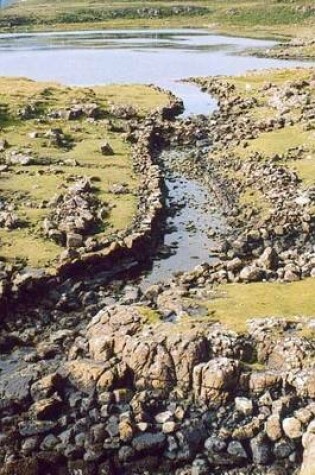 Cover of Viking Canal Ruins, Scotland