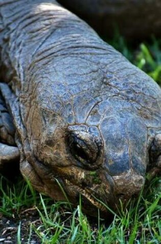 Cover of Giant Galapagos Tortoise Munching on Grass Journal