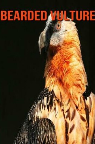 Cover of Bearded Vulture