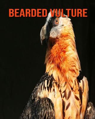 Book cover for Bearded Vulture