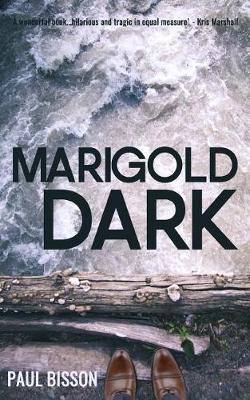 Book cover for Marigold Dark