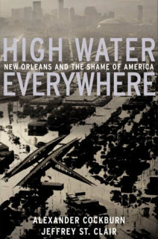 Cover of High Water Everywhere