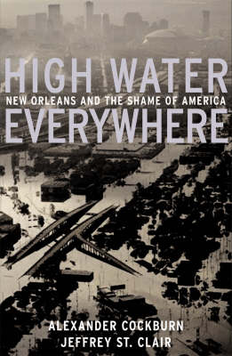 Book cover for High Water Everywhere