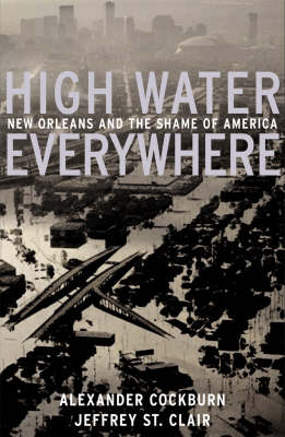 Cover of High Water Everywhere