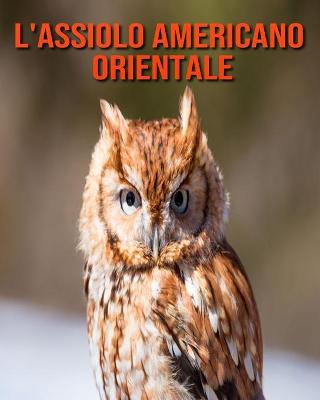 Book cover for L'assiolo americano orientale