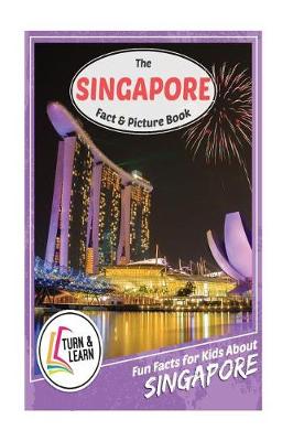 Book cover for The Singapore Fact and Picture Book