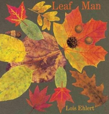Book cover for Leaf Man