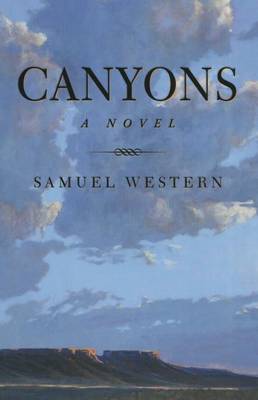 Book cover for Canyons