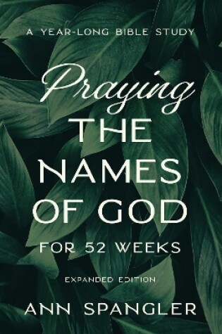 Cover of 52 Weeks Praying the Names of God