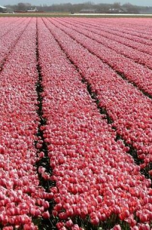 Cover of A Pink Tulip Farm in Holland