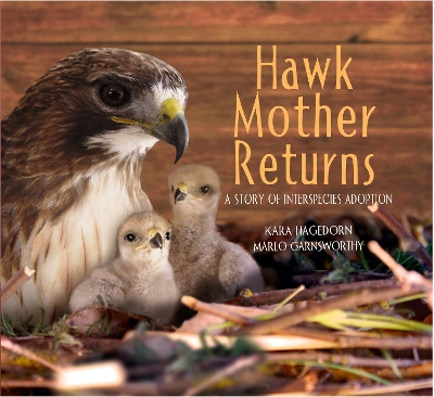 Cover of Hawk Mother Returns