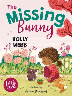 Book cover for The Missing Bunny