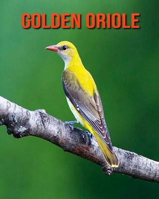 Book cover for Golden Oriole