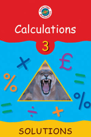 Cover of Cambridge Mathematics Direct 3 Calculations Solutions