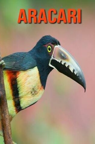 Cover of Aracari