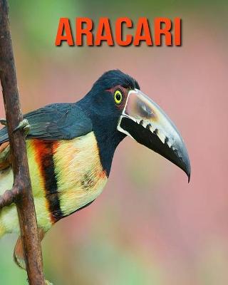 Book cover for Aracari