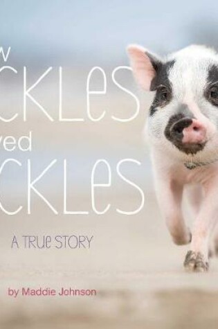 Cover of How Tickles Saved Pickles