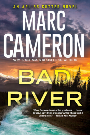 Book cover for Bad River