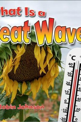 Cover of What Is a Heat Wave?