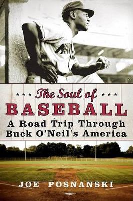 Book cover for The Soul of Baseball