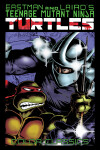 Book cover for Teenage Mutant Ninja Turtles Color Classics, Vol. 2