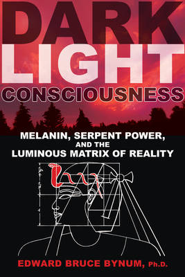 Book cover for Dark Light Consciousness