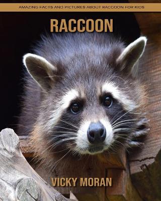 Book cover for Raccoon