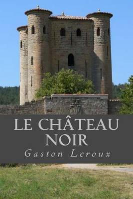 Book cover for Le Chateau noir