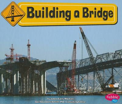 Book cover for Building a Bridge