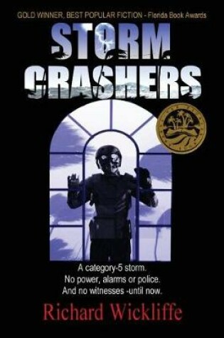 Cover of Storm Crashers