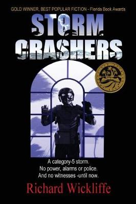 Book cover for Storm Crashers