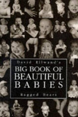 Cover of Big Book of Beautiful Babies