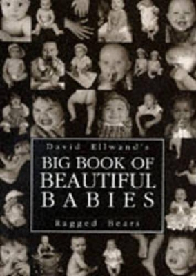 Book cover for Big Book of Beautiful Babies