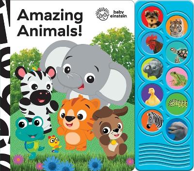 Cover of Baby Einstein: Amazing Animals! Sound Book