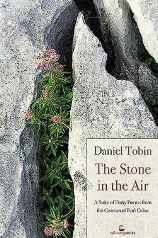 Cover of The Stone in the Air