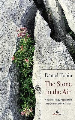 Book cover for The Stone in the Air