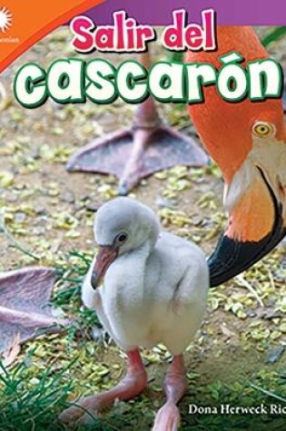 Cover of Salir del cascar n (Hatching a Chick)