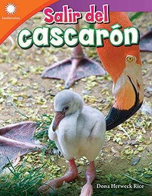 Book cover for Salir del cascar n (Hatching a Chick)