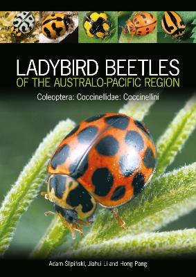 Book cover for Ladybird Beetles of the Australo-Pacific Region