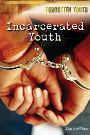 Cover of Incarcerated Youth