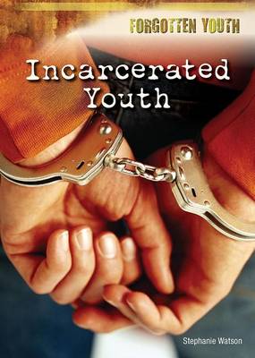 Book cover for Incarcerated Youth