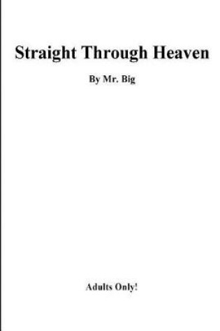 Cover of straight Through Heaven